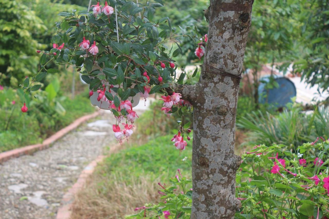 Thang Nam Ruc Ro - Dalat Homestay Exterior foto